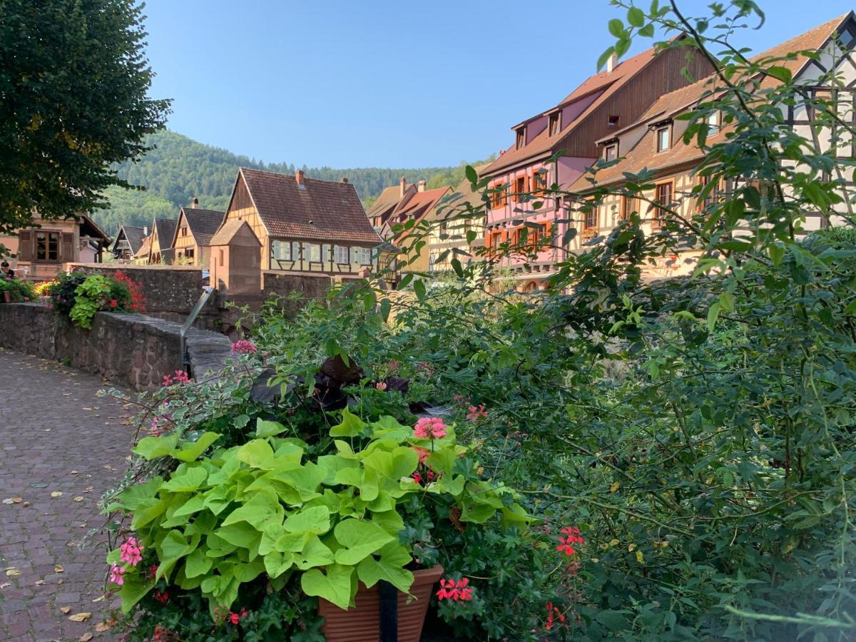 Studio Cosy Kaysersberg Centre Exterior photo